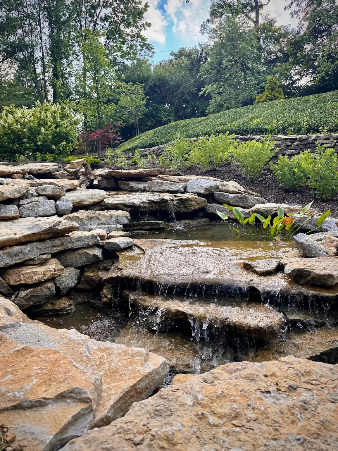Natural stone waterfall and pond landscape solving drainage